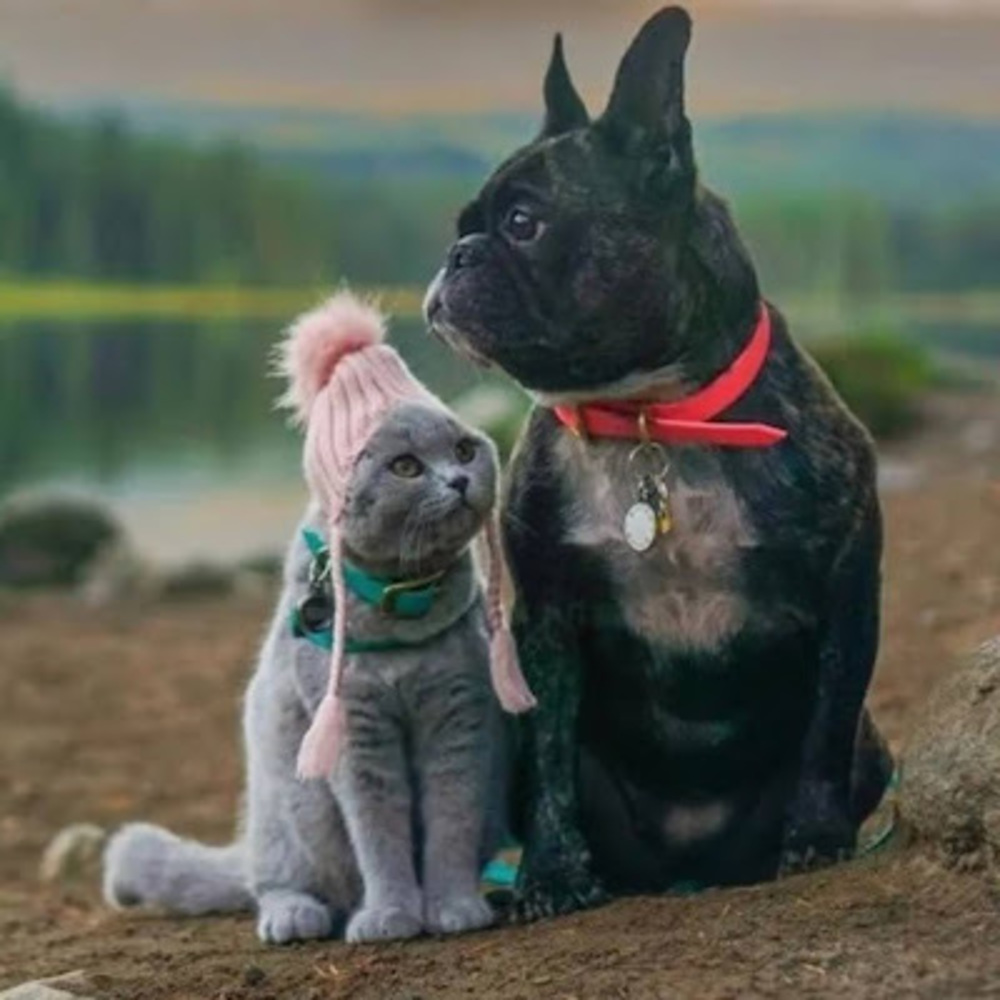 Meet your Posher, Grateful